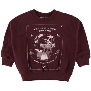 Soft Gallery Sweatshirt - Baptiste - Decadent Chocolate - Soft Gallery - 5 År (110) - Sweatshirt