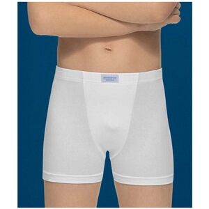 Boxer 8963 Abanderado 6 Blanco