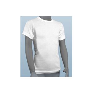 Camiseta 371M/Corta Frajimu 14 Blanco