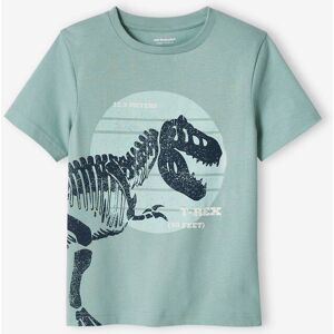 VERTBAUDET Camiseta con dinosaurio gigante, para niño verde menta