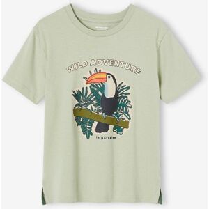 VERTBAUDET Camiseta con motivo de tucán para niño verde sauce