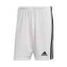 Adidas - Pantalón corto Squadra 21 Niño, Hombre, White-Black, 152 cm