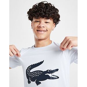 Lacoste Croc Logo T-Shirt Junior - Mens, Blue  - Blue - Size: 16Y