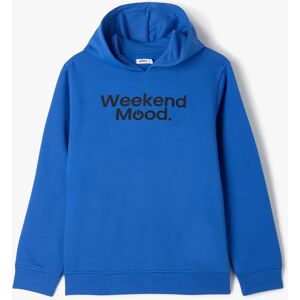 Sweat à capuche avec inscription garçon - 14 - bleu - GEMO bleu - Publicité