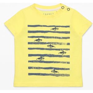 Esprit Boys T-Shirt sarcelle