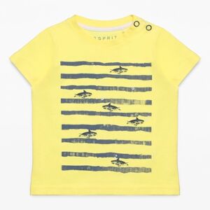 Esprit Boys T-Shirt sarcelle