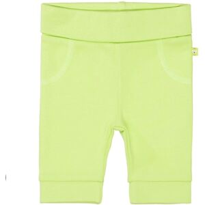 STACCATO Pantalon Kiwi