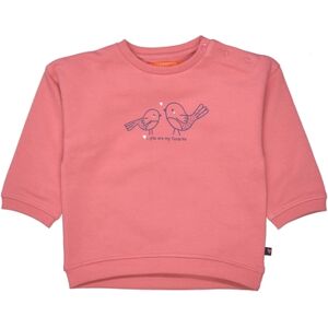 STACCATO Sweat-shirt soft berry