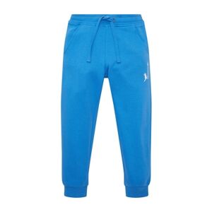 TOM TAILOR Pantalon de jogging Strong Palace Blue