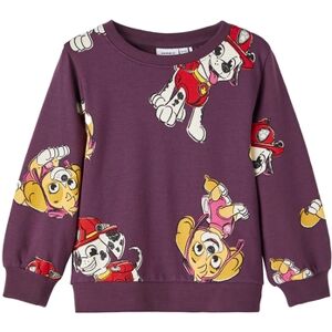 name it Sweat-shirt Paw Patrol Nmfosba Hortensia