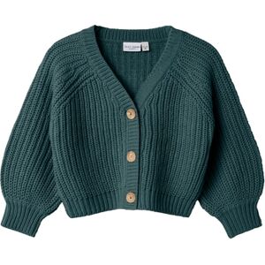 name it Cardigan Nmfvalea Sea Moss 122/128