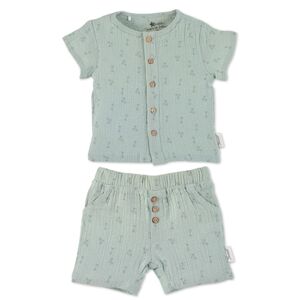 Sterntaler Set t-shirt+pantalon court palmier vert moyen