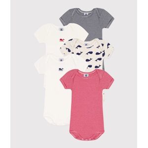 Petit Bateau Body bébé manches longues baleine lot de 5