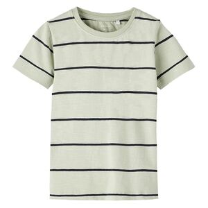 name it T-shirt Nmmfalke Desert Sage