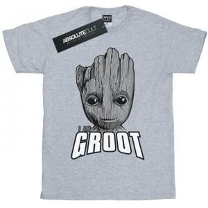 Marvel Girls Guardians Of The Galaxy Groot Face Cotton T-Shirt - Publicité