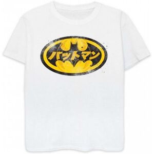 Batman Boys Japanese Logo T-Shirt - Publicité