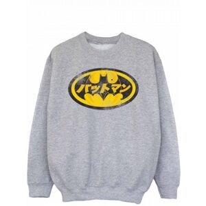 Batman Boys Japanese Logo Sweatshirt - Publicité