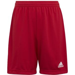 Adidas ENT22 SHO Y Shorts, TEPORE, 140 Unisex Kids - Publicité