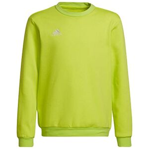 Adidas Unisex Kids Sweatshirt Ent22 SW Topy, Tmssye, , 152 EU - Publicité