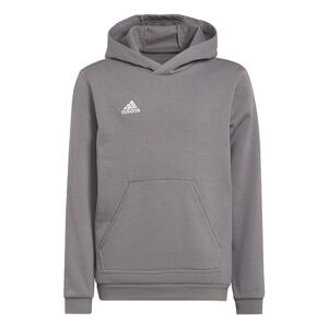 Adidas Sweatshirt à capuche en Y H57515 ENT22 unisexe pour enfants, Team Grey Four 910A, 140 (9 à 10 ans) - Publicité