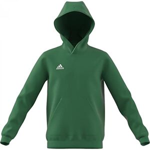Adidas Entrada 22 Sweat Hoodie Hooded Mixte Enfant, Team Green/White, 140 - Publicité