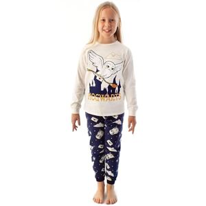 Harry Potter Pyjamas Girls Hedwig Manches Longues T-Shirt et Pantalon en Polaire 13-14 Ans - Publicité