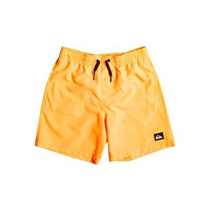 Quiksilver Everyday 13" Short de Bain pour Garçon 8-16 Ans - Publicité