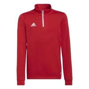 Adidas Unisex Kids Sweatshirt Ent22 TR Topy, Tepore, , 116 EU - Publicité