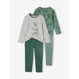 Vertbaudet Lot de 2 pyjamas jungle garçon vert VERT 14A Garçon - Publicité