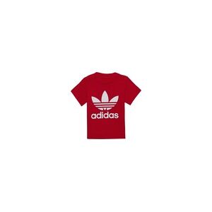 T-shirt enfant adidas TREFOIL TEE Rouge 12 / 18 mois,18 / 24 mois,3 / 6 mois,9 / 12 mois filles - Publicité