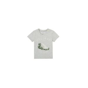 T-shirt enfant Ikks ECHIFFAISE Gris 6 mois,12 mois,2 ans,3 ans garcons