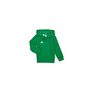 Sweat-shirt enfant adidas ENT22 HOODY Y Vert 11 / 12 ans,13 / 14 ans,5 / 6 ans,7 / 8 ans,9 / 10 ans filles - Publicité