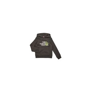 Sweat-shirt enfant The North Face BOYS DREW PEAK P/O HOODIE Gris 8 ans,10 ans,6 ans garcons - Publicité