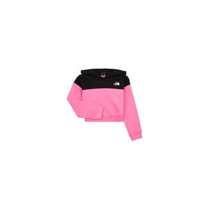 Sweat-shirt enfant The North Face GIRLS DREW PEAK CROP P/O HOODIE Rose 8 ans,10 ans,6 ans filles - Publicité