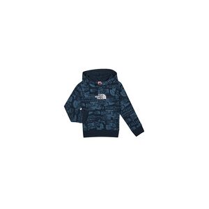 Sweat-shirt enfant The North Face BOYS DREW PEAK LIGHT P/O HOODIE Bleu 6 ans garcons - Publicité