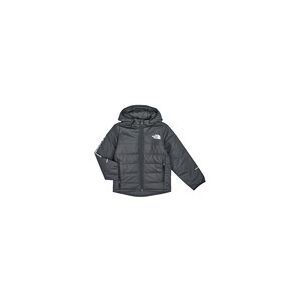 Blouson enfant The North Face BOYS NEVER STOP SYNTHETIC JACKET Noir 8 ans,6 ans garcons - Publicité