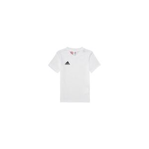 T-shirt enfant adidas ENT22 TEE Y Blanc 11 / 12 ans,13 / 14 ans,5 / 6 ans,7 / 8 ans,9 / 10 ans garcons - Publicité