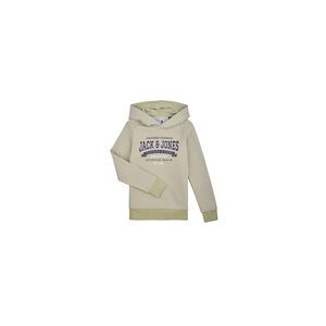 Sweat-shirt enfant Jack & Jones JJELOGO SWEAT HOOD 2 COL 24 SNJNR Vert 9 ans,11 ans,13 ans,15 ans,16 ans garcons - Publicité