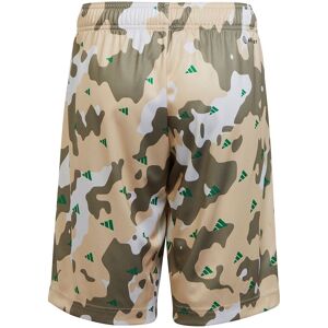 Adidas Tr-es Aop Shorts Beige,Vert 7-8 Years Fille Beige,Vert 7-8 Années female - Publicité