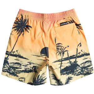 Quiksilver Everyday Paradise 14´´ Swimming Shorts Orange 10 Years Garçon Orange 10 Années male - Publicité