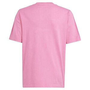 Adidas All Szn W Short Sleeve T-shirt Rose 15-16 Years Garçon Rose 15-16 Années male - Publicité
