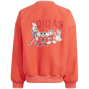 Adidas Disney Mickey Mouse Jacket Orange 24 Months-3 Years Garçon Orange 24 Mois-3 Années male - Publicité