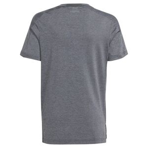 Adidas Heather Short Sleeve T-shirt Gris 15-16 Years Garçon Gris 15-16 Années male - Publicité