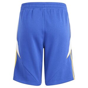 Adidas Messi Shorts Bleu 15-16 Years Garçon Bleu 15-16 Années male - Publicité