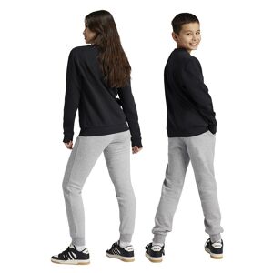 Adidas Essentials Big Logo Fleece Jogger Junior Set Gris 13-14 Years Garçon Gris 13-14 Années male - Publicité