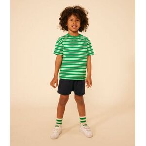 Petit Bateau Tee-shirt raye en jersey enfant garcon Prado/ Avalanche 10A