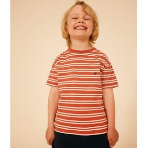 Petit Bateau Tee-shirt raye en jersey enfant garcon Fameux/ Avalanche 12A