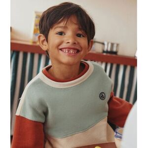 Petit Bateau Sweatshirt colorblock en molleton enfant garcon Blanc Avalanche/ Multico 10A