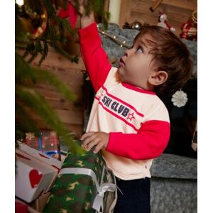 Petit Bateau Sweatshirt en molleton imprime bebe Avalanche/ Corida 36M