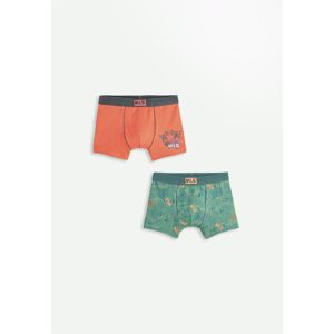 Petit Beguin Lot de 2 boxers garcon Spencer